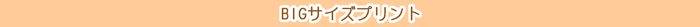 タイトル/BIGサイズプリント